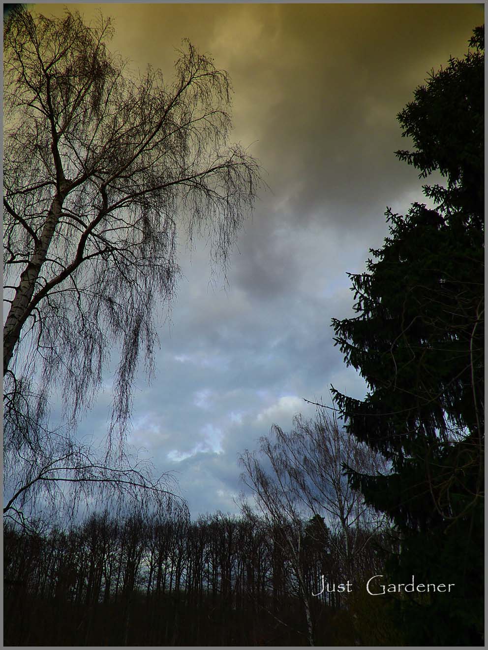 001_wolken_06.jpg