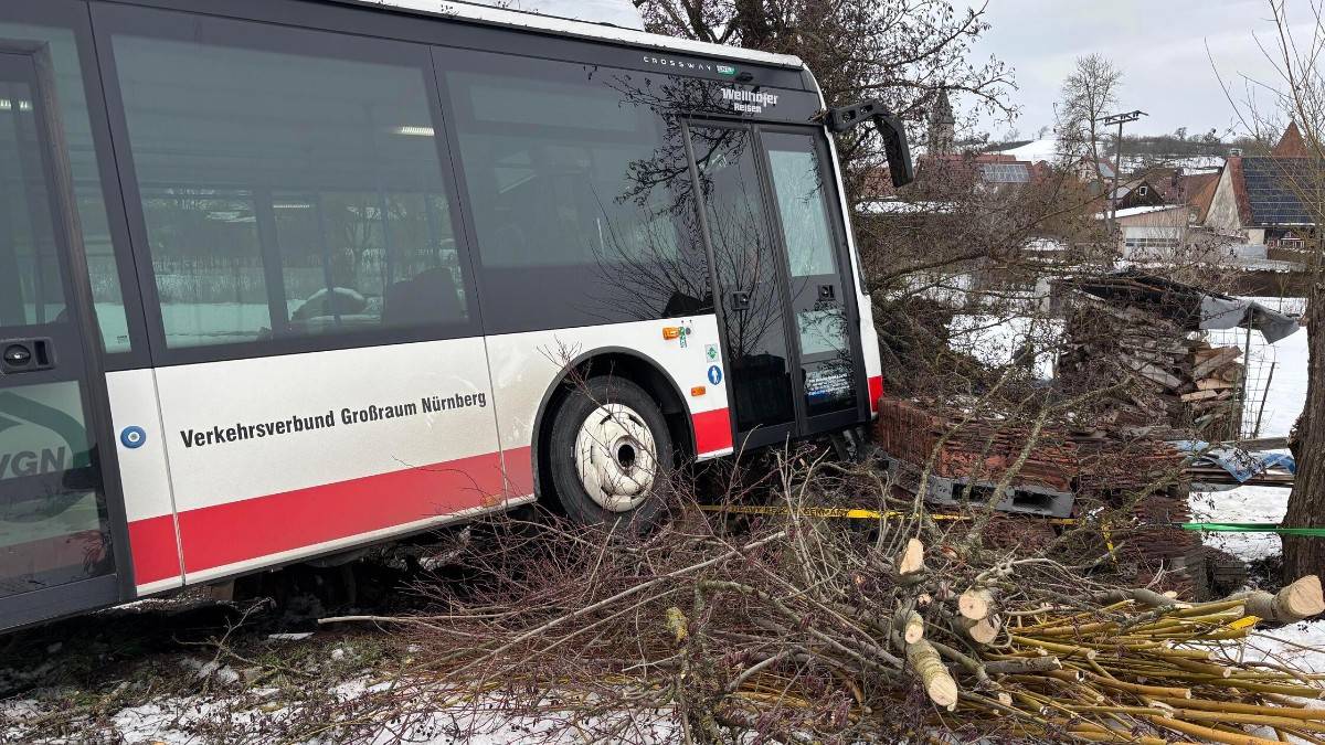 bus_baum.jpg