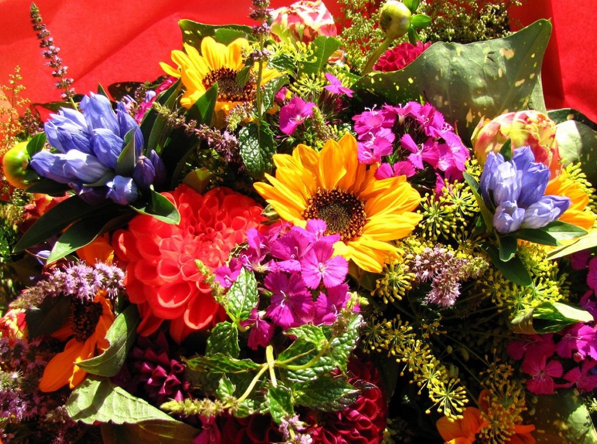 bunter_blumenstrauss2__.jpg