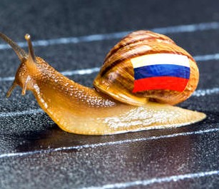 62290532-snail-under-russian-flag-on-sports-....jpg