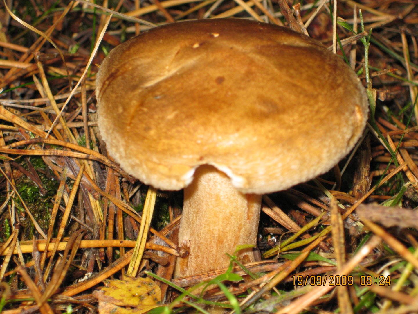 bild_023.jpg