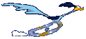 roadrun1.gif