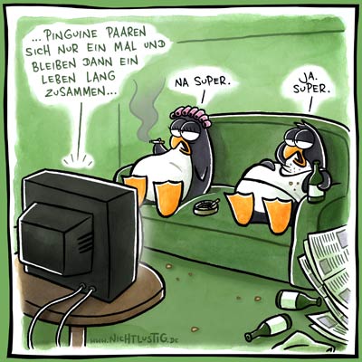 pinguinpaarung.jpg