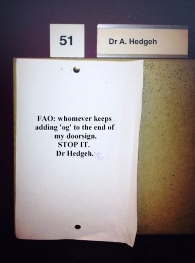 dr_hedgeh400.jpg